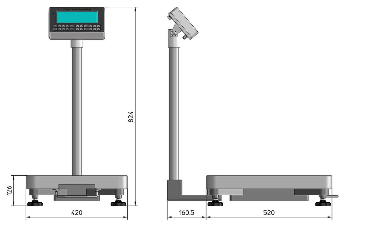 Plattform Zählwaage IPS C eichfähig
